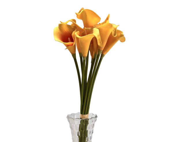 Calla Lily  -