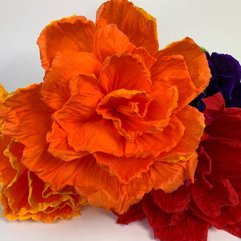 8 inch Paper Miracle Flowers - Dozen