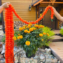 Marigold Garlands - 58 inches long - perfect for wrapping ofrenda armitures