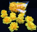 Yellow Cempasuchil Scattered Buds - Dozen