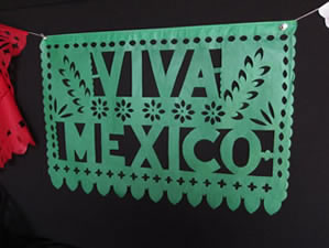 Large Fiesta Patria Banner
