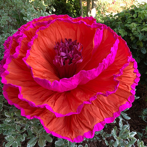 Gigantic Paper Miracle Flowers