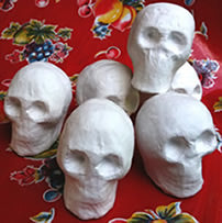Plaster Skull