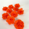 Orange Cempasuchil Scattered Buds - Dozen