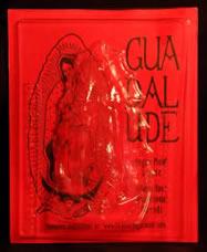 Virgin of Guadalupe Mold - Dozen